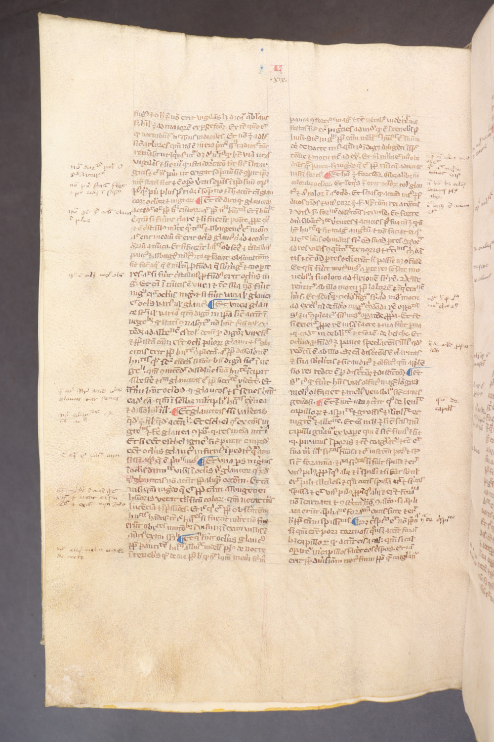 Folio 271  verso