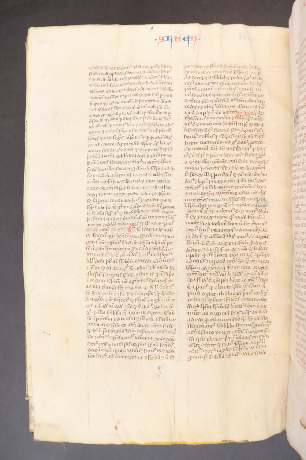 Folio 282  verso