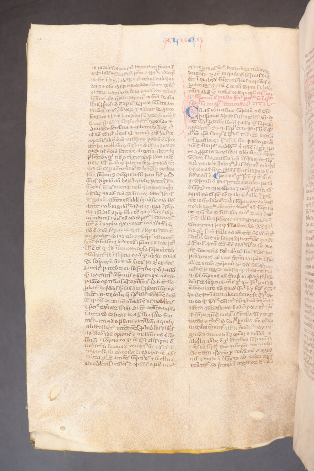 Folio 283  verso