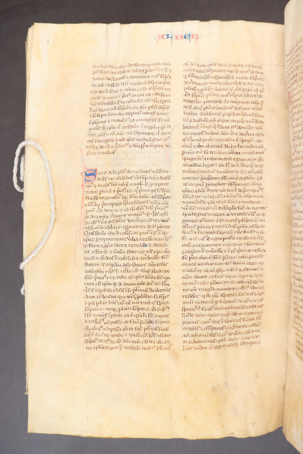 Folio 287  verso