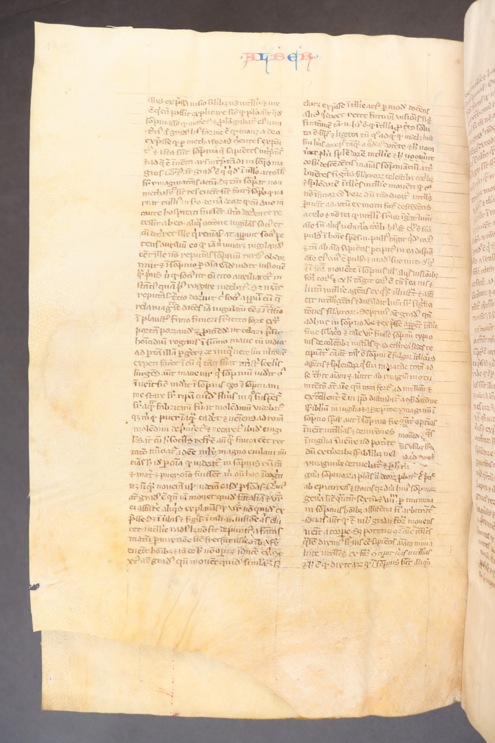 Folio 291  verso