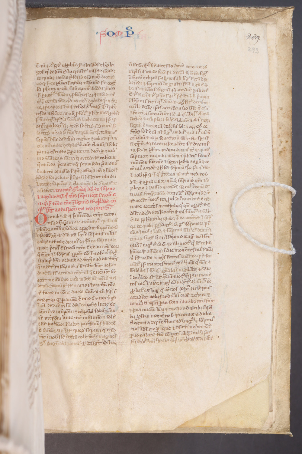 Folio 293  recto