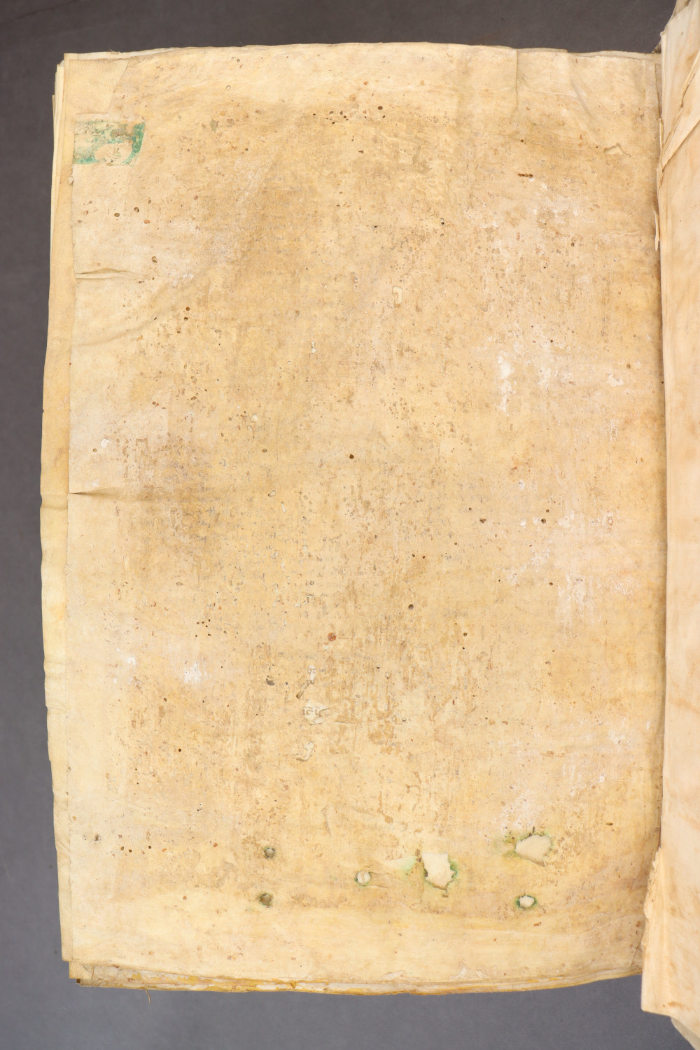 Folio 298  verso