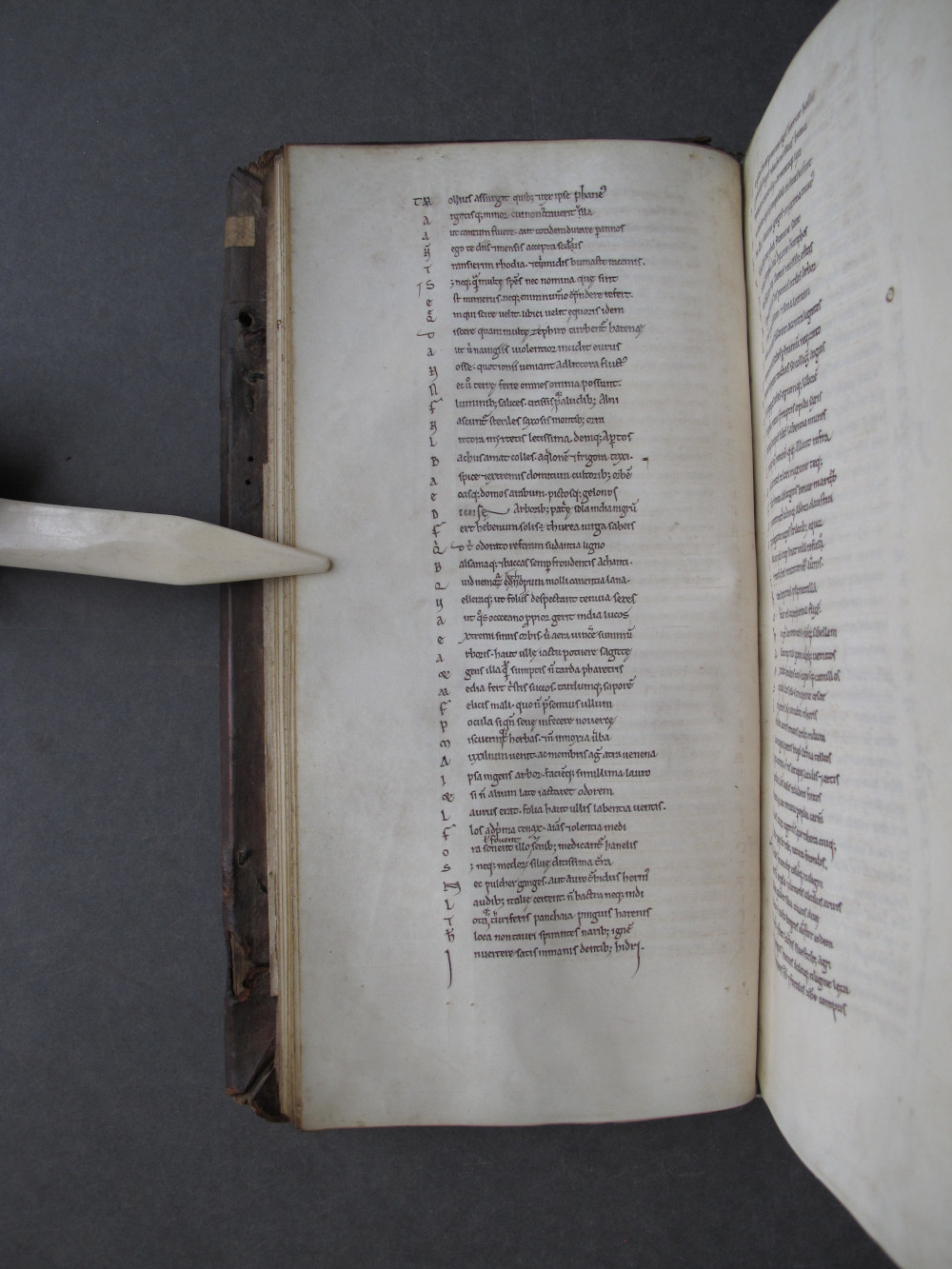 Folio 17 verso